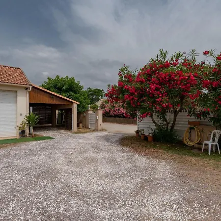 Dami I-1 By Interhome