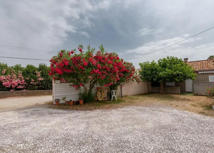 Dami I-1 By Interhome Ferienhaus Santa-Lucia-di-Moriani